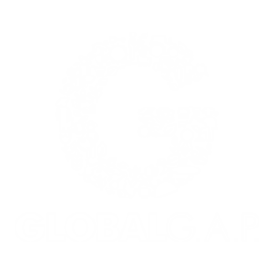 global gal certificado_white