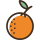 variedad naranjas